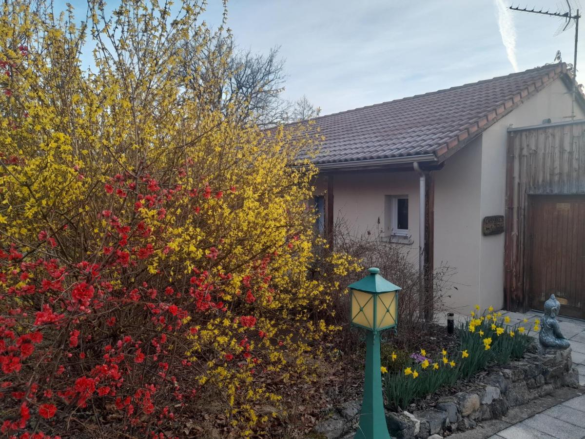 Hotel De L'Ile D'Amour Langeac Bagian luar foto